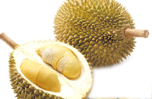 Durian. Frutto consumato in Thailandia