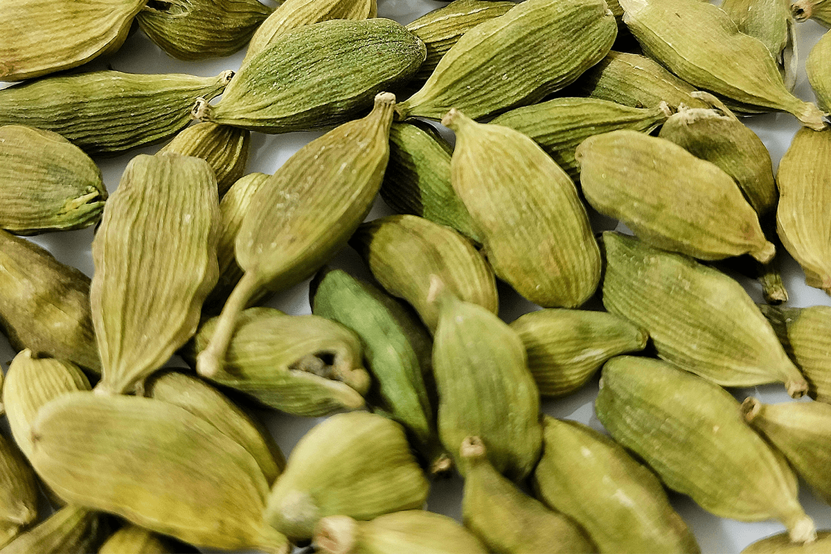 Cardamomo