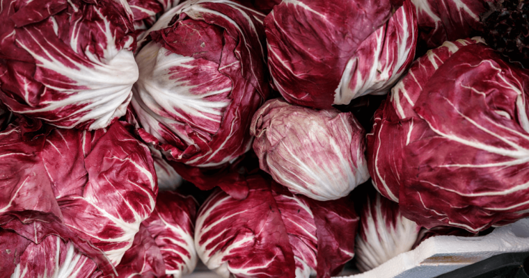 Radicchio