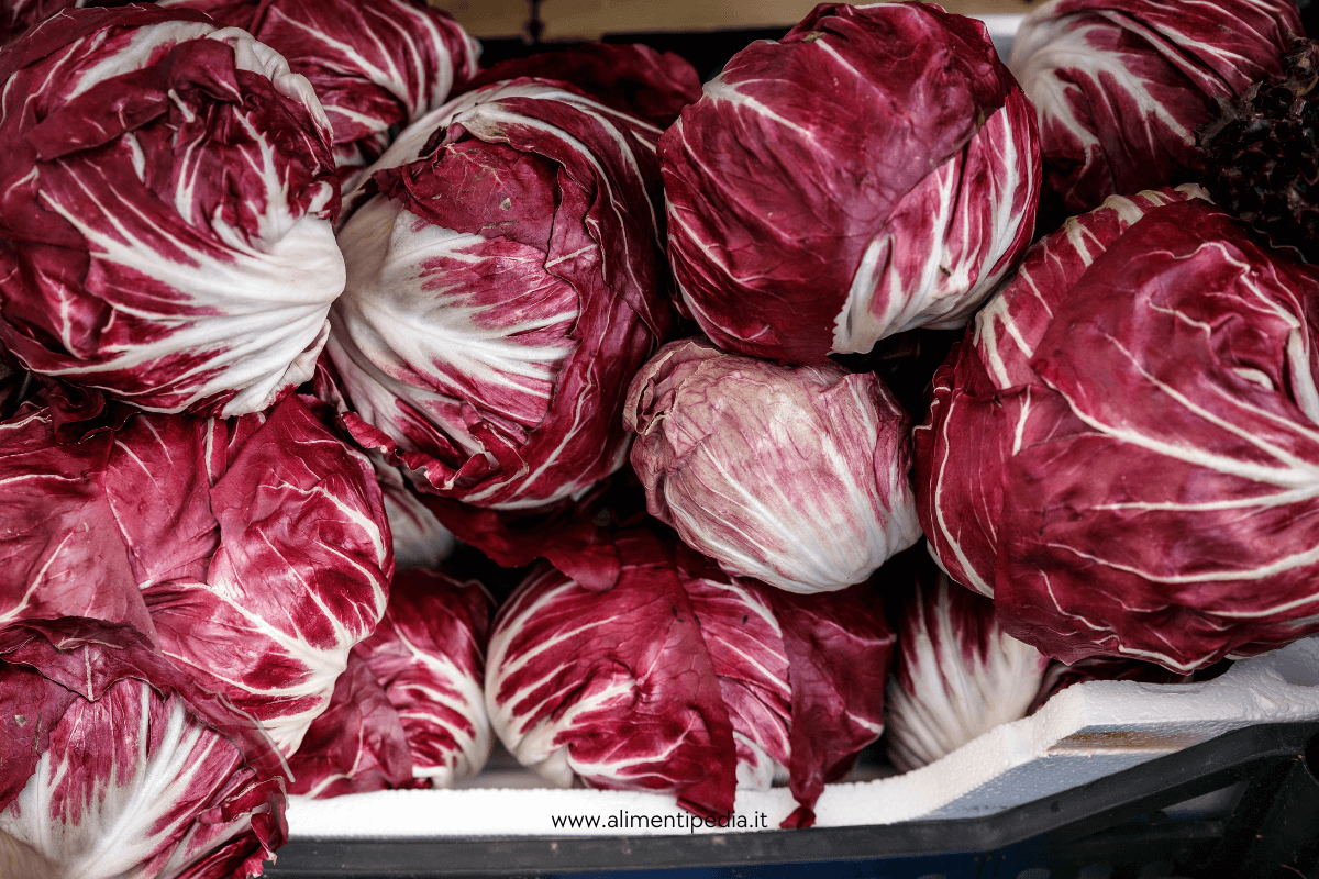 Radicchio