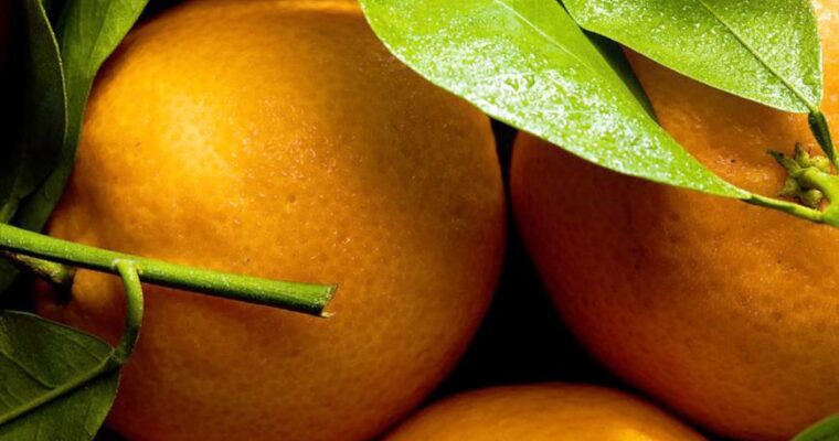 Alla scoperta delle arance di Sicilia: caratteristiche, proprietà e benefici