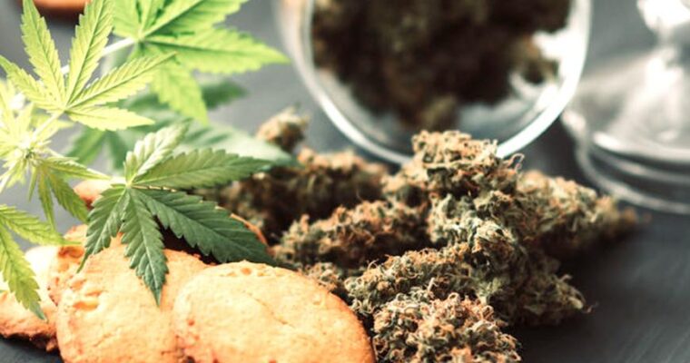 Cannabis: in Gazzetta Ufficiale i limiti ammessi di THC negli alimenti