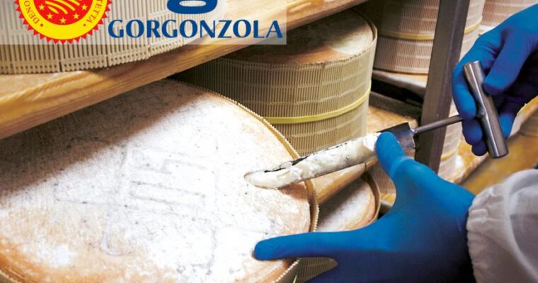 Covid-19 infierisce anche sulla produzione del Gorgonzola DOP, in calo del 17%