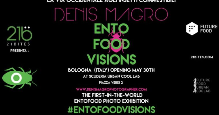 Entofood visions