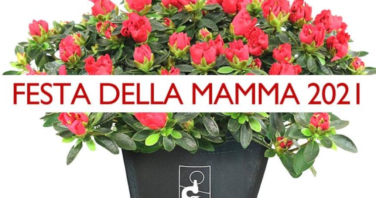 Azalea dell’AIRC anche online, un regalo ricco di significato per la Festa della mamma 2021