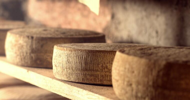 Quali sono i formaggi del Trentino: un viaggio tra sapere e sapore