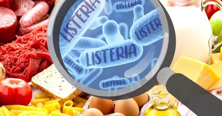 Listeria monocytogenes. Cos’è e cosa succede se consumiamo cibi con Listeria