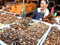 Vendita insetti al mercato in Asia
