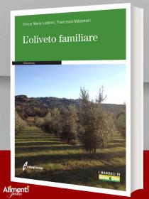 L’oliveto familiare