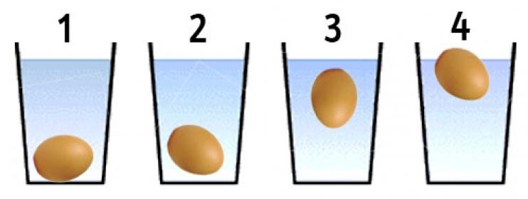 Freschezza dell'uovo