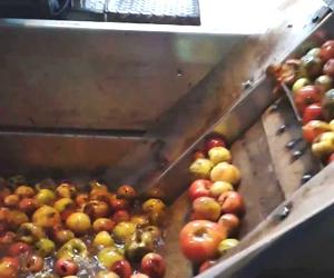 Produzione aceto di mele