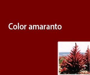 Color amaranto