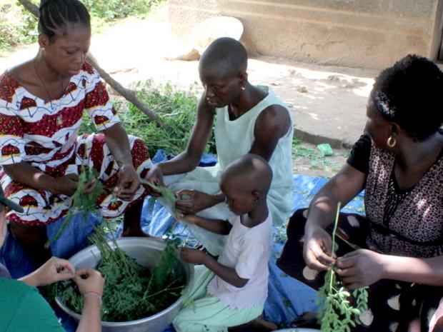 Africani che preparano foglie di Moringa
