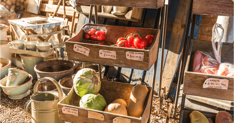 Frutta e verdura di stagione per il mese di Ottobre: la guida completa