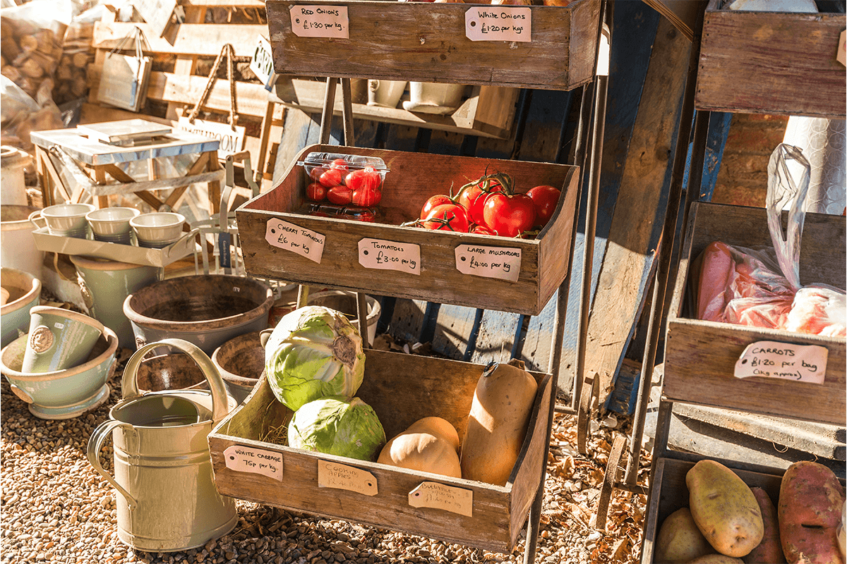 Frutta e verdura di stagione per il mese di Ottobre: la guida completa